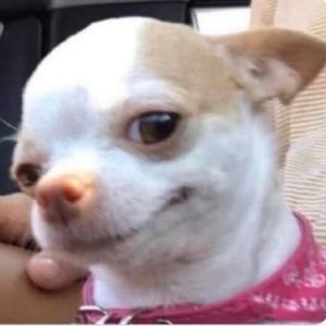 Meet your Posher, Alex